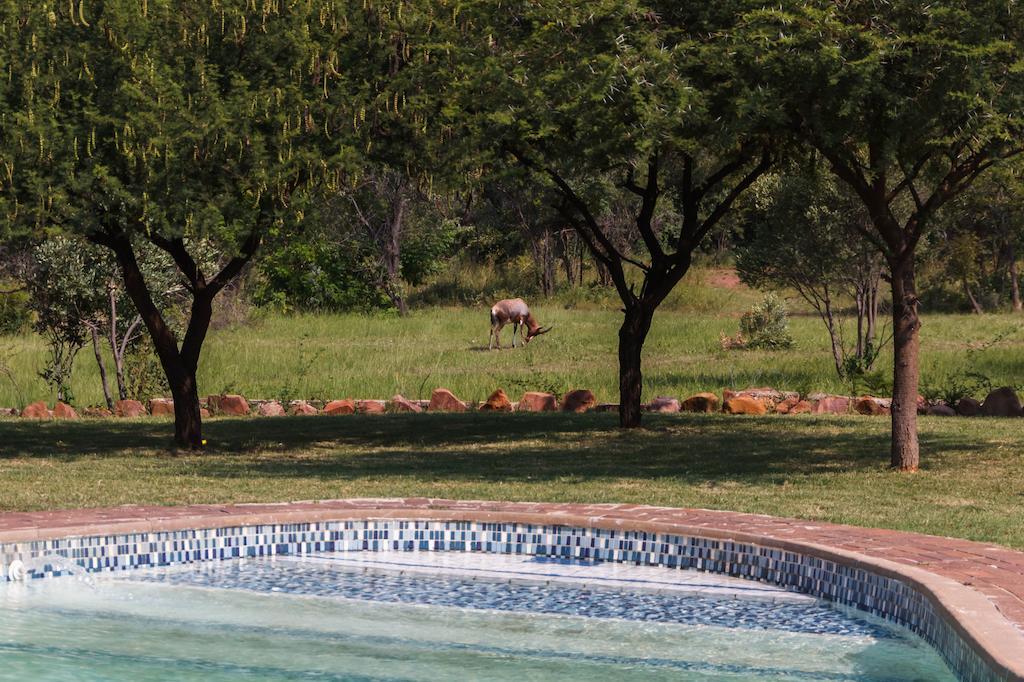 Birdsong Cottages Modimolle Εξωτερικό φωτογραφία