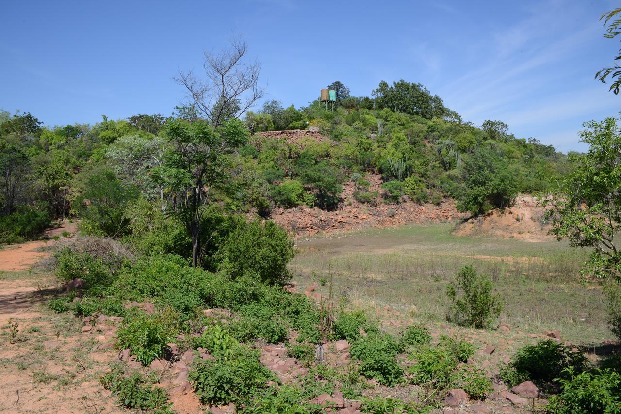 Birdsong Cottages Modimolle Εξωτερικό φωτογραφία